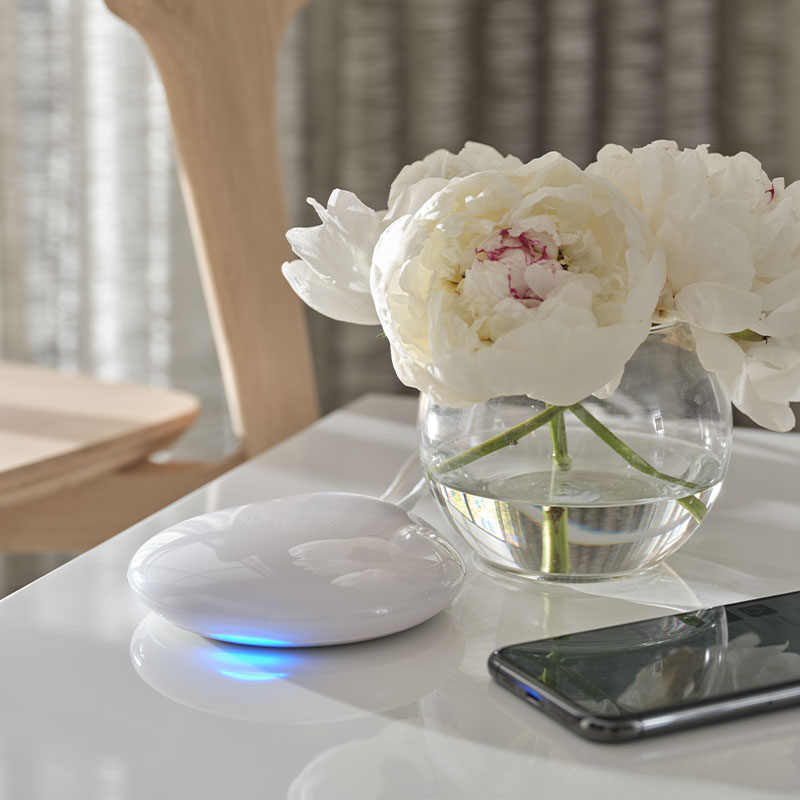 A PowerView Gateway on a white marble table next to a smartphone and a low vase with large white flowers.